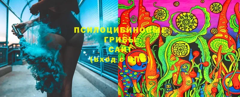 Галлюциногенные грибы Cubensis  это формула  Барыш  блэк спрут как войти 